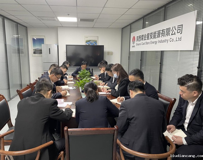 星炭公司召开党史学习教育动员大会