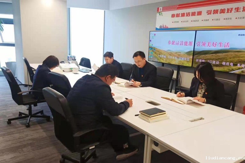西安陕煤新能源科技有限公司召开党史学习教育工作会