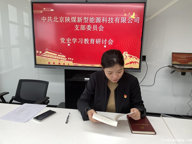 北京公司支部委员会组织开展党史学习教育研讨会