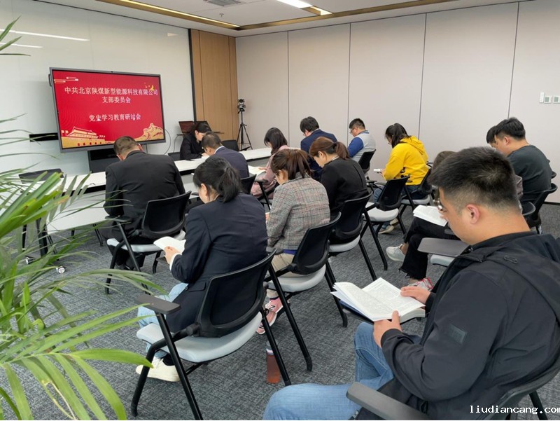 北京公司支部委员会组织开展党史学习教育研讨会