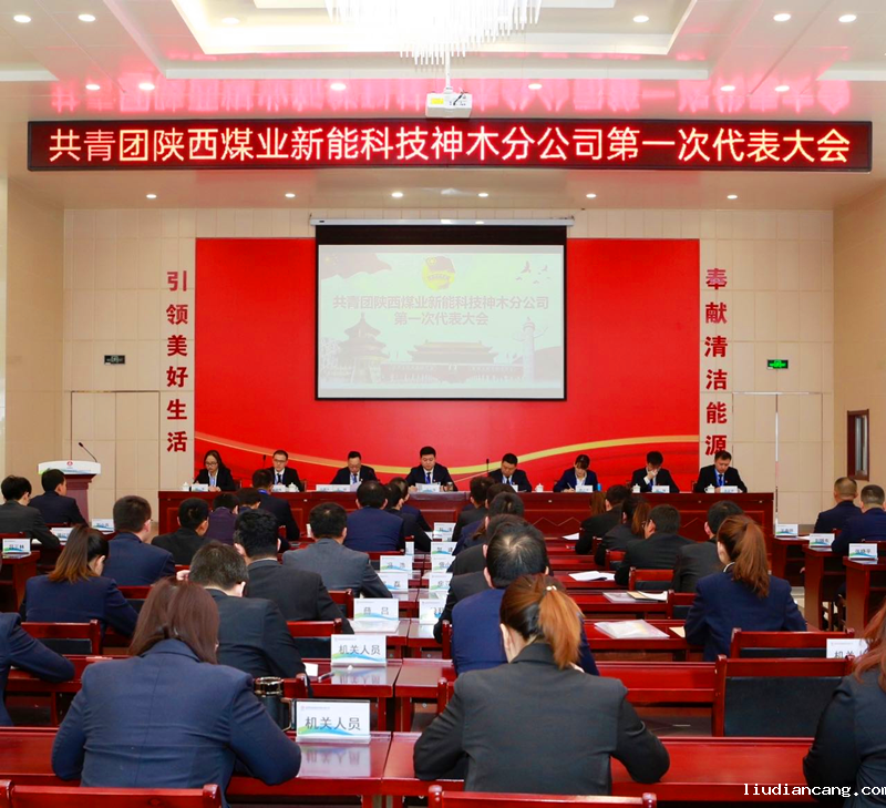 神木分公司第一届团员代表大会胜利召开配图1.png