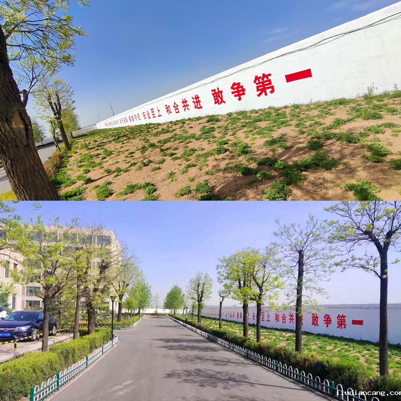 神木秀美-配图2.png