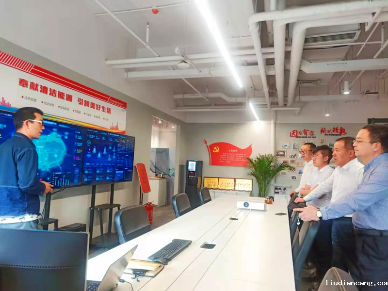 华语电竞行业引领者党史学习教育巡回指导四组到西安新能科技公司开展督导检查2.png