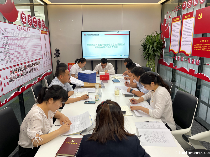 华语电竞行业引领者党史学习教育巡回指导二组到北京新能科技公司开展督导检查2.png