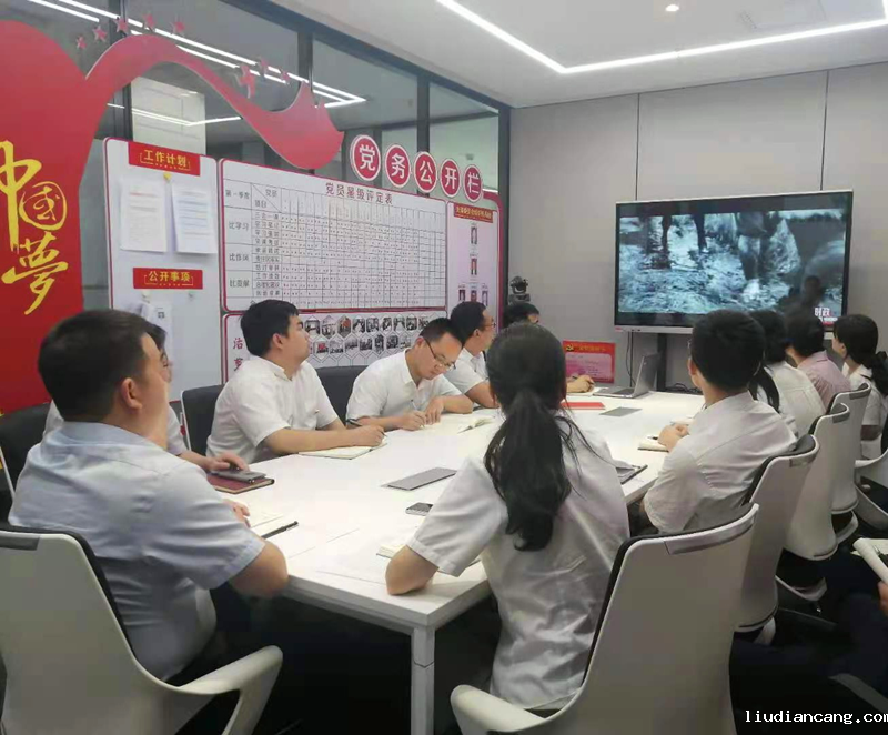 北京新能科技公司党支部组织开展“庆七一”主题党日活动