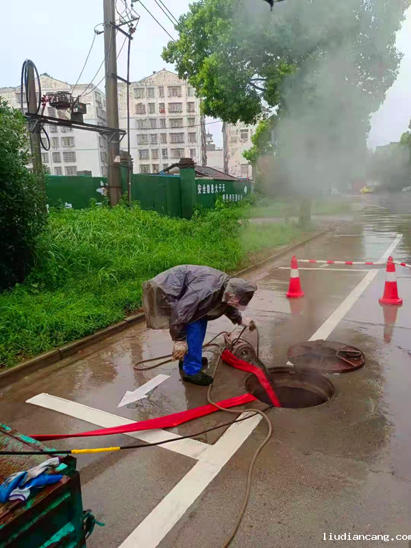 仙桃梅雨.png