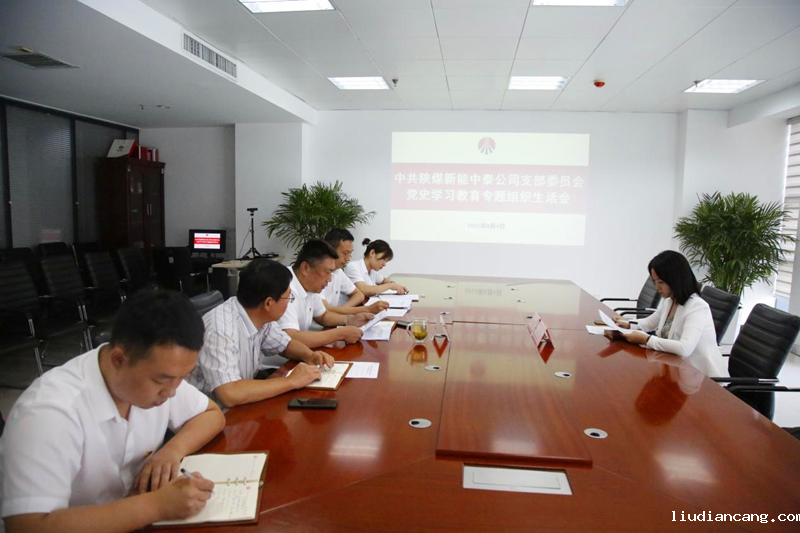 中泰公司党支部召开党史学习教育专题.png