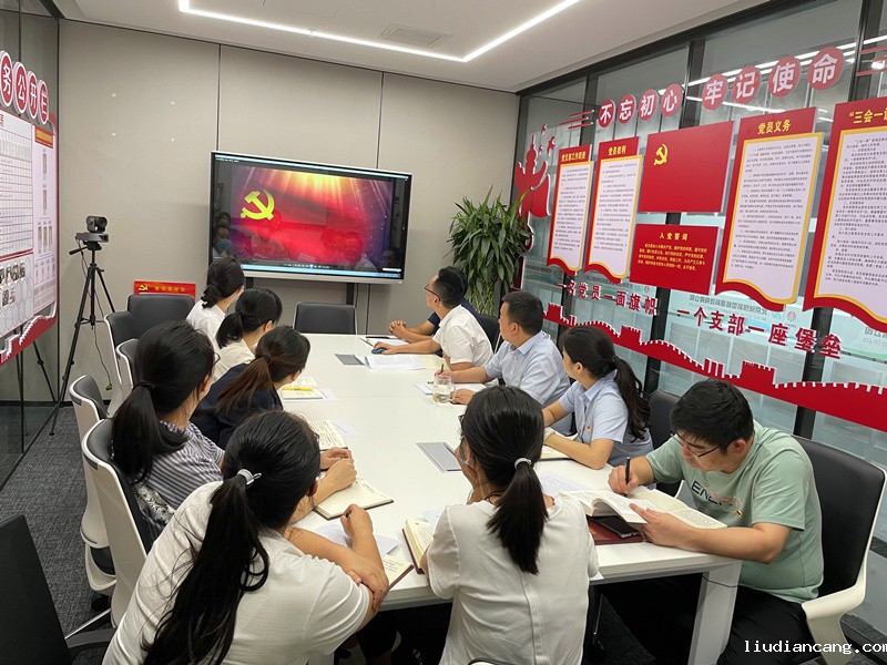 北京公司党支部召开党史学习教育专题组织生活会-配图.jpg