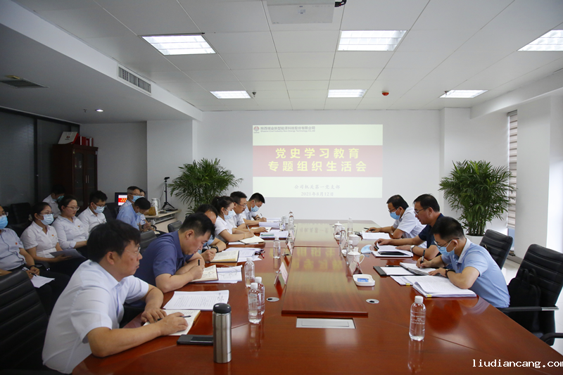 陕煤集团党史学习教育第三巡回指导组到新型能源指导党史学习教育专题组织生活会