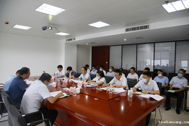 陕煤集团党史学习教育第三巡回指导组到新型能源指导党史学习教育专题组织生活会