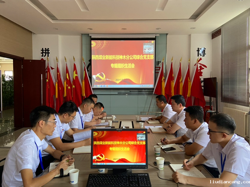 神木分公司各党支部党史学习教育专题组织生活会召开-配图1.png
