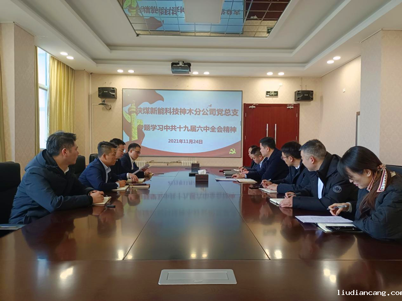 神木分公司党总支理论学习中心组学习十九届六中全会-配图.png
