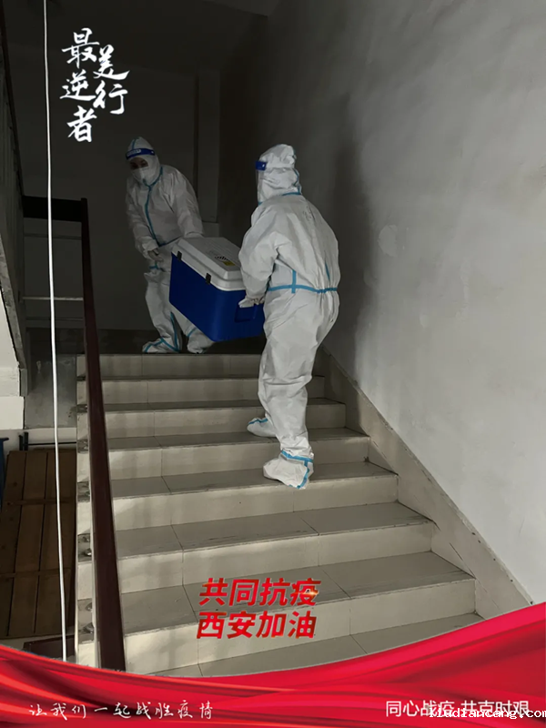 图片 83.png