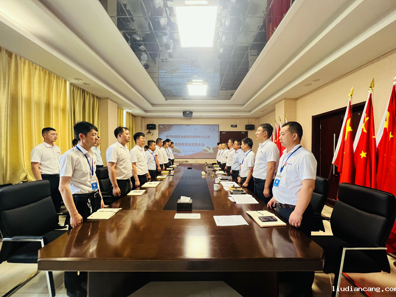 神木分公司党总支顺利完成换届选举-1.png