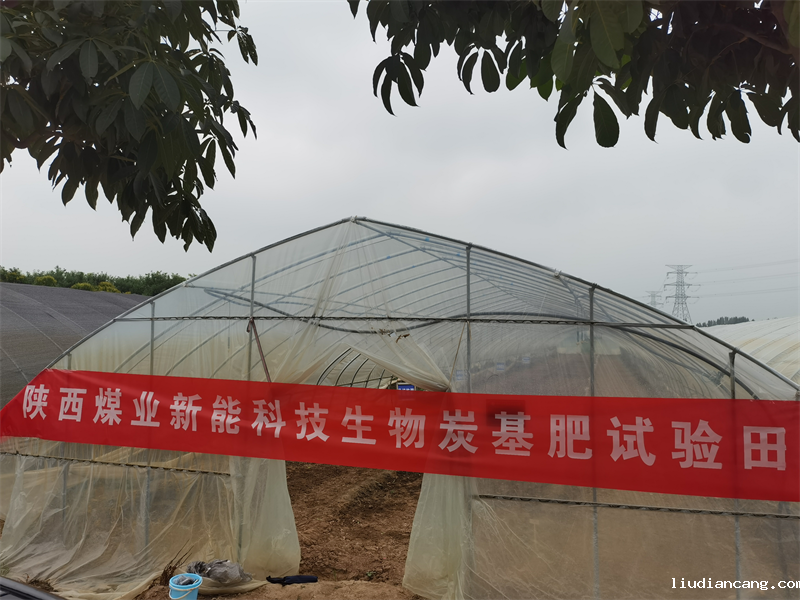 三原公司：沃土肥田，生物质炭基肥田间试验进行时-1.png