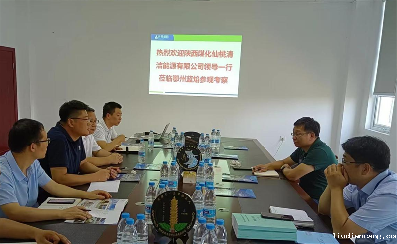 公司副总经理刘新成带队到仙桃公司考察调研-1.png