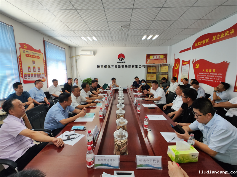 陕西省循环经济项目观摩团走进三原公司生物质气化供热项目-2.png
