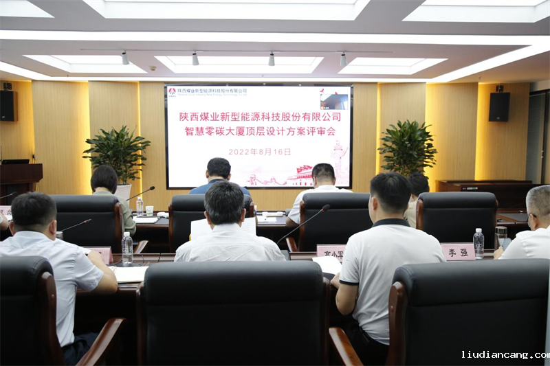 公司召开智慧零碳大厦顶层设计方案评审会-1.png