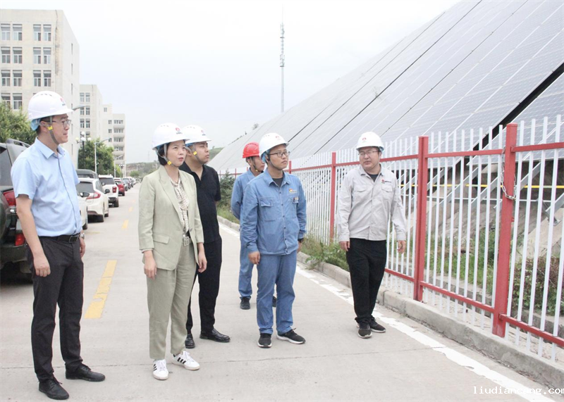 咸阳公司参观新元洁能公司光伏项目-4.png