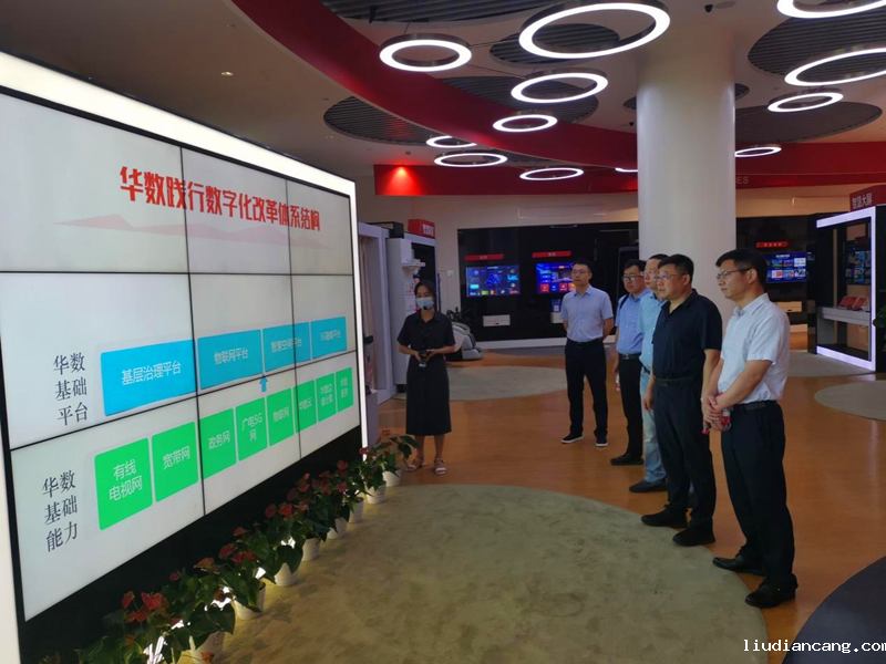 徐国强在浙江省相关企业考察调研-2.png