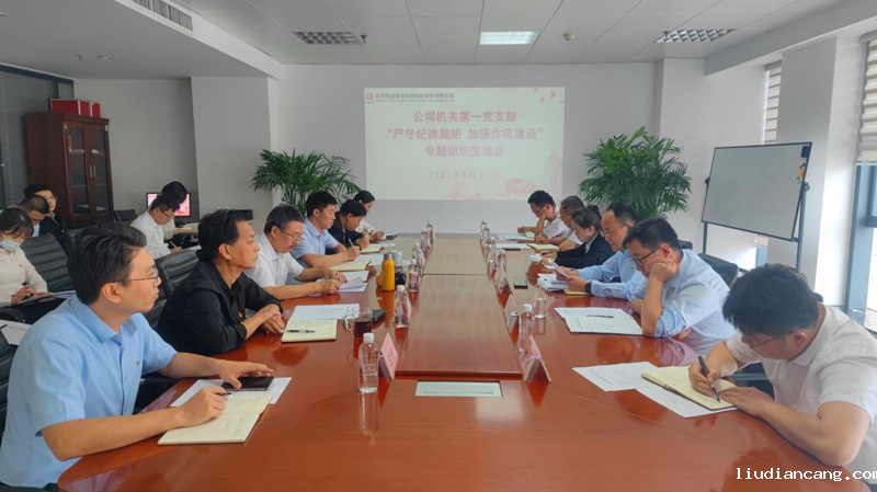 公司机关第一党支部召开“严守纪律规矩 加强作风建设”专题组织生活会-1.png