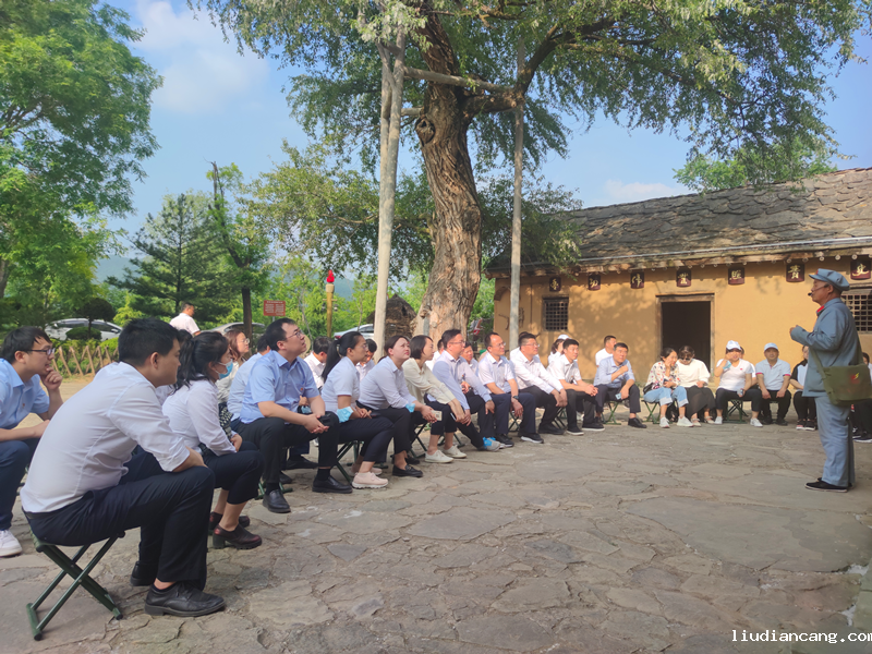 组织党员干部到照金开展主题党日活动.png