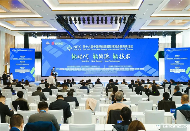 徐国强参加第十六届中国新能源国际博览会暨高峰论坛并作主题演讲.png
