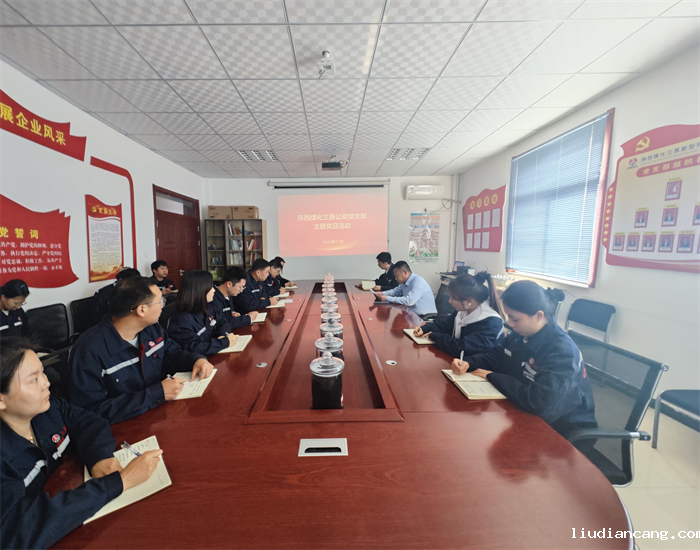 三原公司开展“学习二十大 永远跟党走 奋进新征程”主题党日活动.png