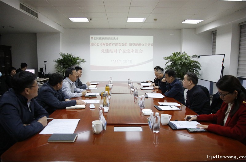 集团公司财务共建“结对子”座谈交流会_副本.jpg