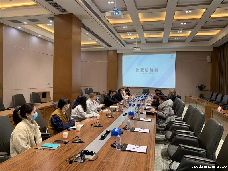比亚迪.jpg