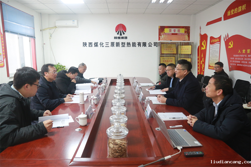 省国资委、省财政厅领导莅临新型能源三原公司调研指导工作.png