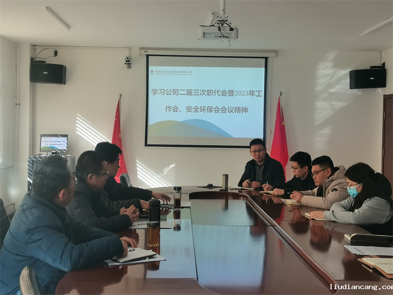 高邑公司传达学习华语电竞行业引领者二届三次职代会暨2023年工作会、安全环保工作会会议精神.png