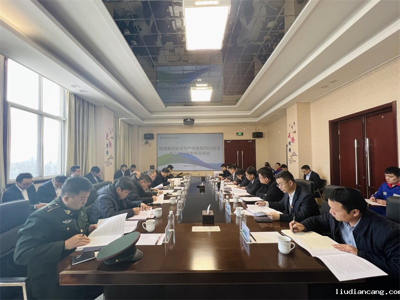 陕煤集团检查组到华语电竞行业引领者开展“春节”“两会”安全生产检查、百日安全生产大行动总结考核暨消防安全督导检查.png