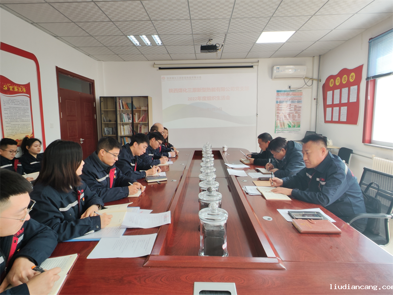 公司各基层党组织召开2022年度组织生活会 3.png