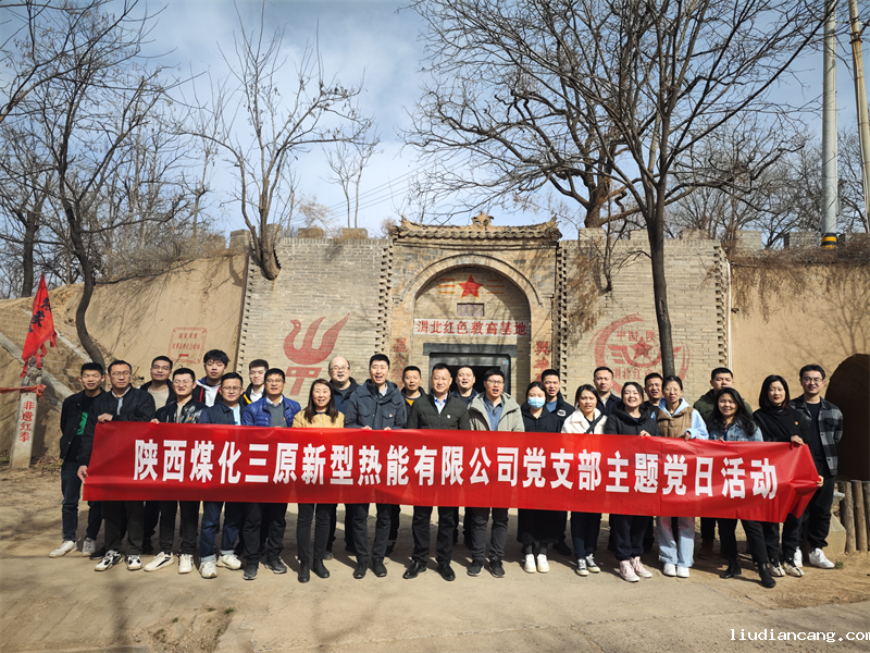 三原公司党支部开展主题党日活动1.png