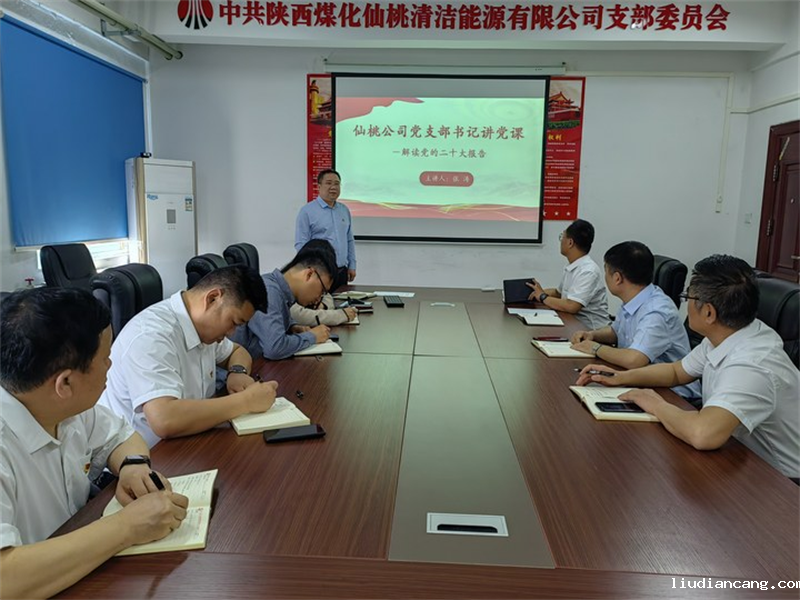 仙桃公司党支部开展“书记讲党课”活动.png