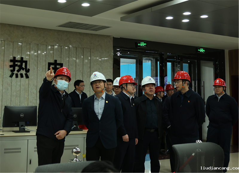 公司副总经理黄岗带队到龙安热电参观调研.png