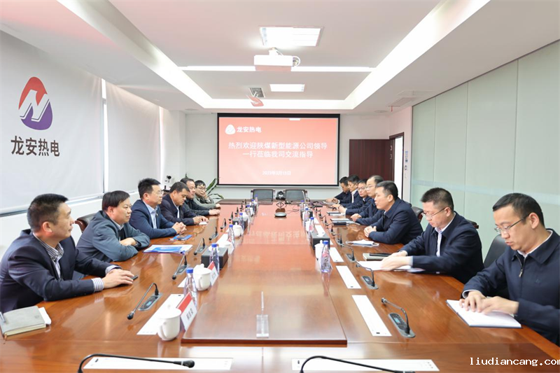 公司副总经理黄岗带队到龙安热电参观调研1.png