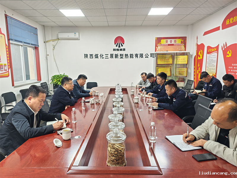 公司党委副书记、总经理徐国强一行到三原公司检查指导工作1.png