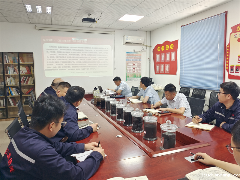 公司副总经理刘新成到党建联系点开展《习近平著作选读》宣讲暨主题教育专题党课