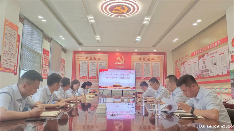 神木分公司综合党支部开展“强党性，善作为”主题党日活动.png