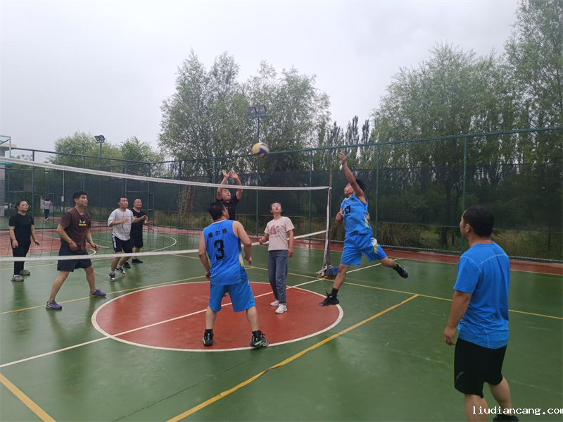 宁夏鑫尔特公司职工气排球赛打出别样精彩2.png