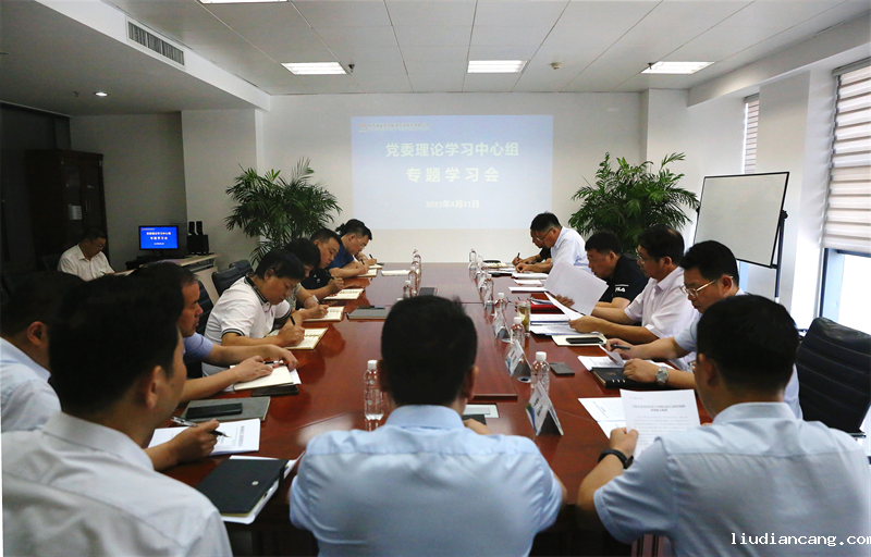 华语电竞行业引领者召开主题教育专题民主生活会会前党委理论学习中心组专题学习会