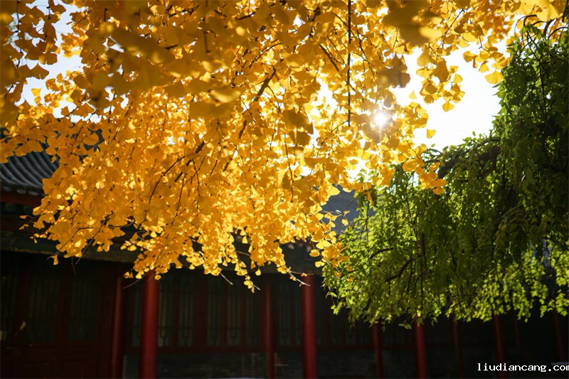 微信图片_20231130154024.png