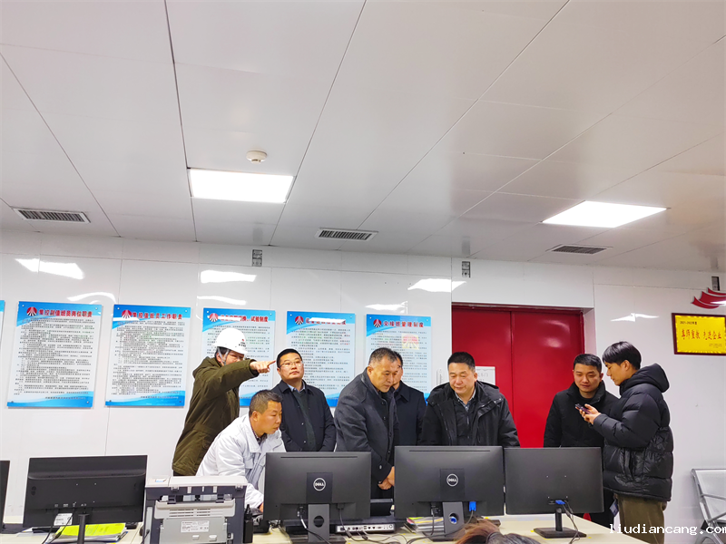 桐柏县副县长王承宇一行到淮源公司调研.png