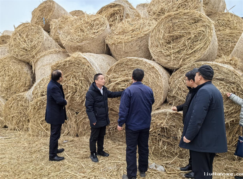生物质公司到多地开展生物质项目调研2.png