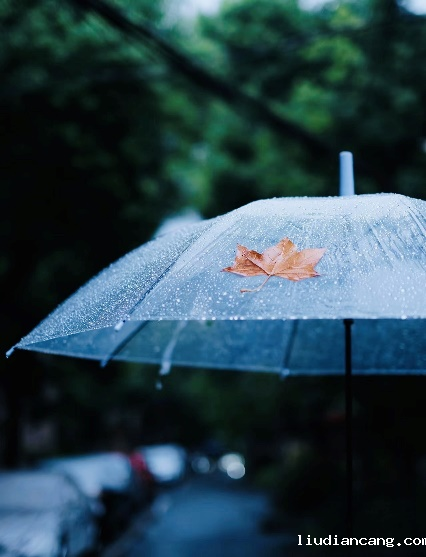 赵子涵 诗歌——《秋雨》