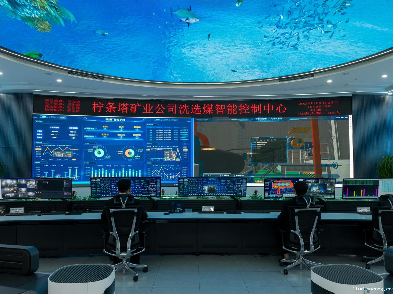 选煤柠条塔7.png