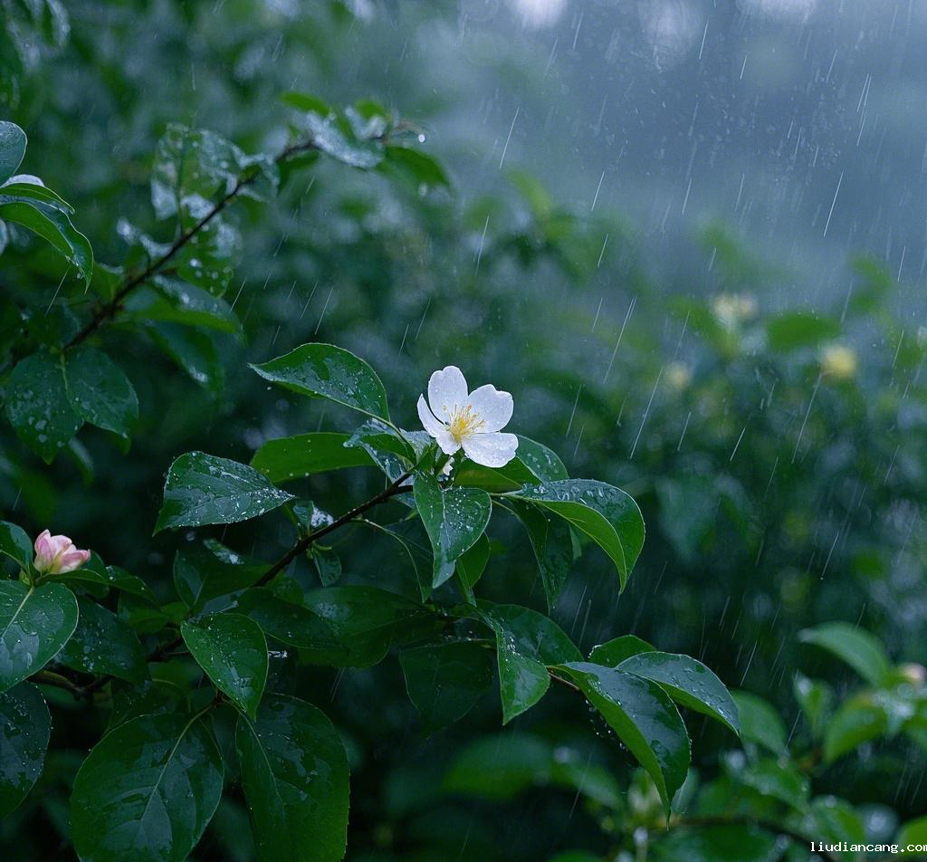 生成三月雨图片2.png