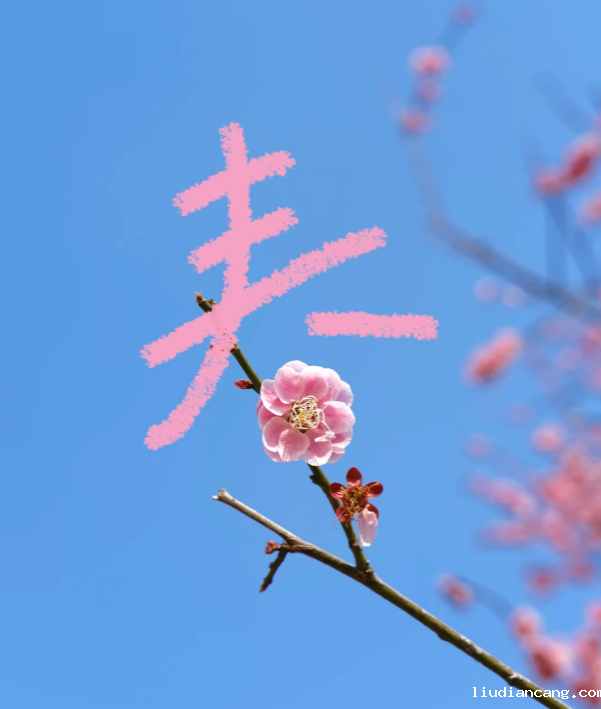图片9.png
